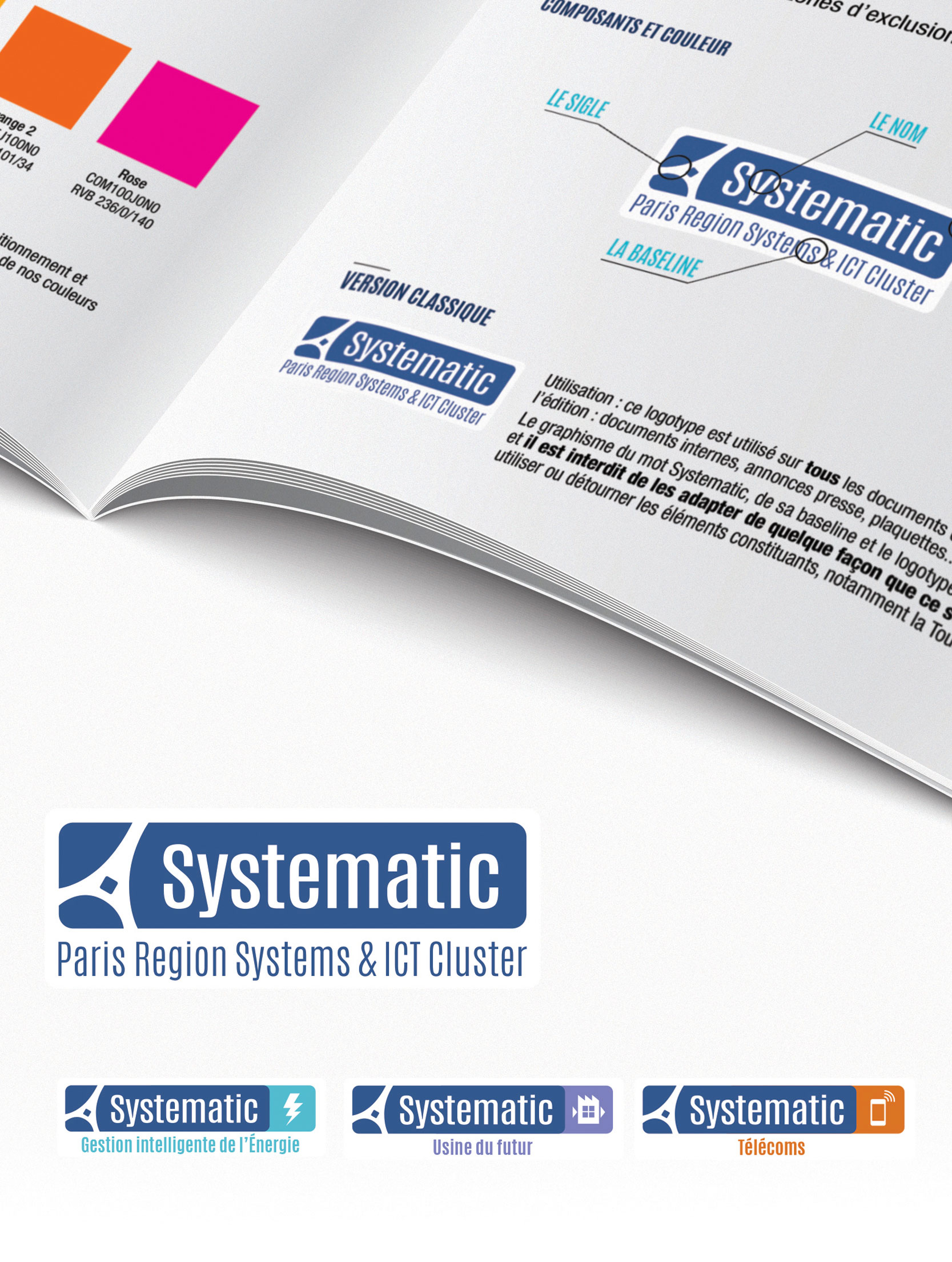 Systematic logotype